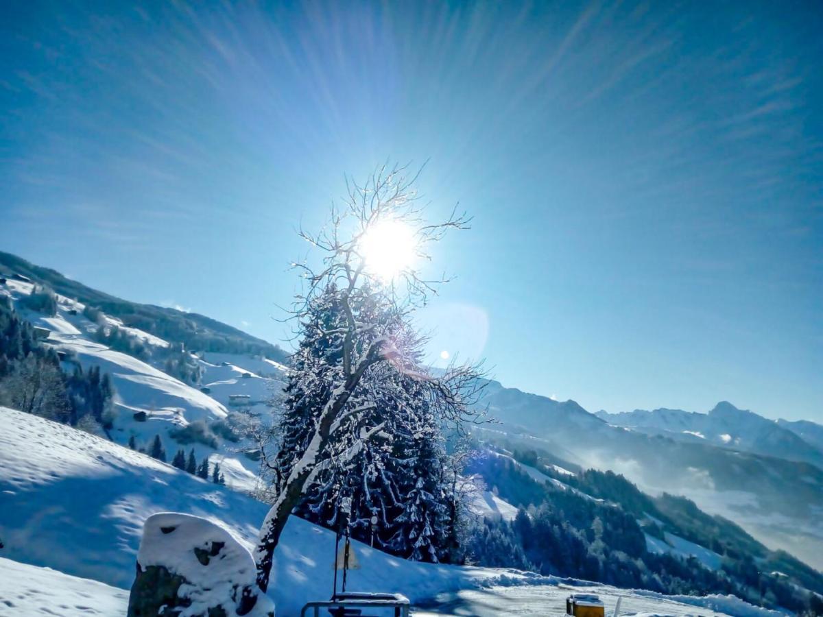 Apartment Wildbachl By Interhome Aschau Im Zillertal ภายนอก รูปภาพ